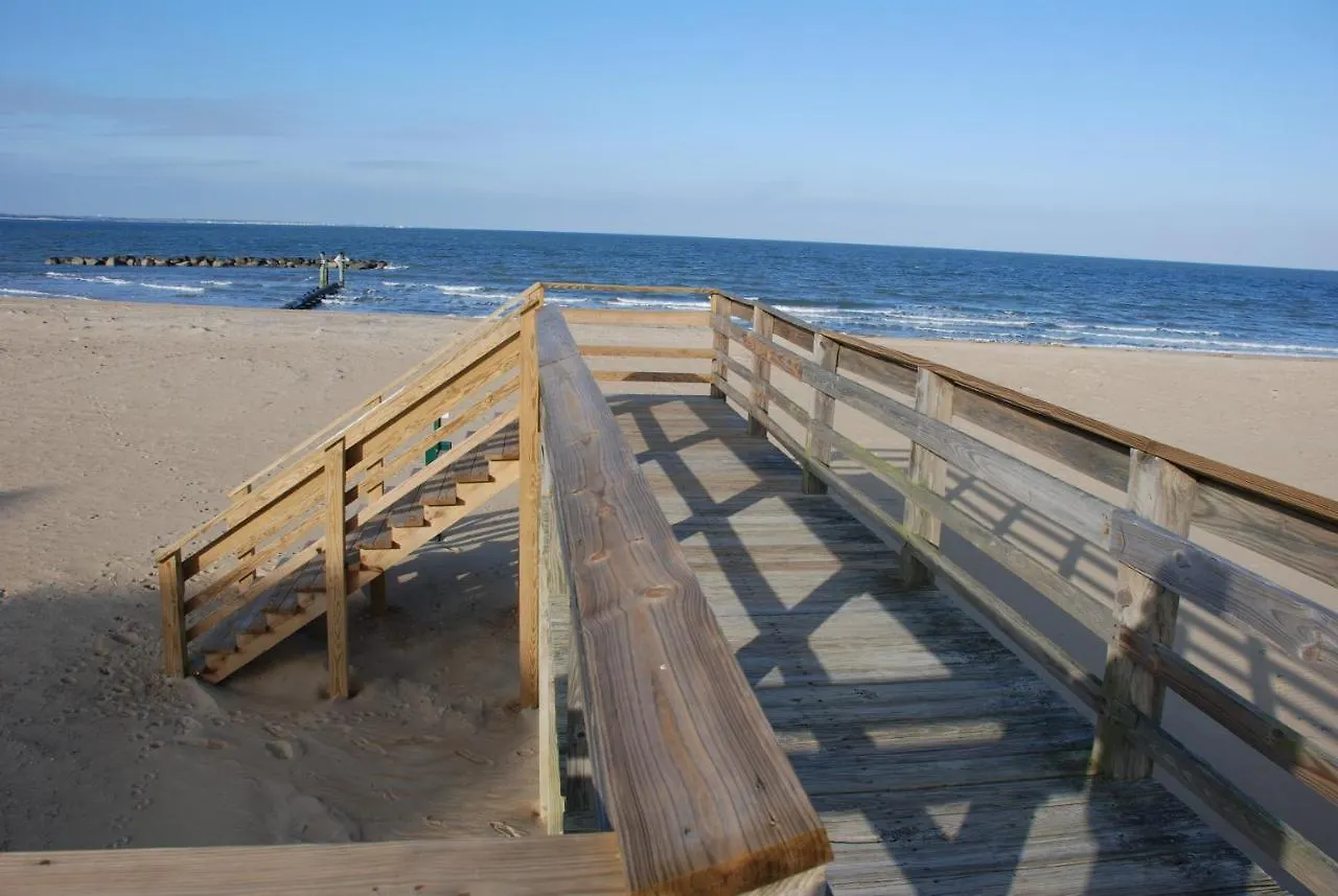 Cozy Suite - Pet Friendly, Beach Side Apts Norfolk Apartment